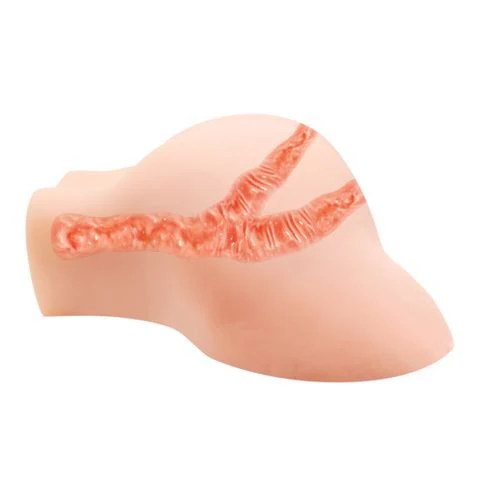 Realistic Vagina and Ass Masturbator 'Crazy Bull Julie' - Image 4