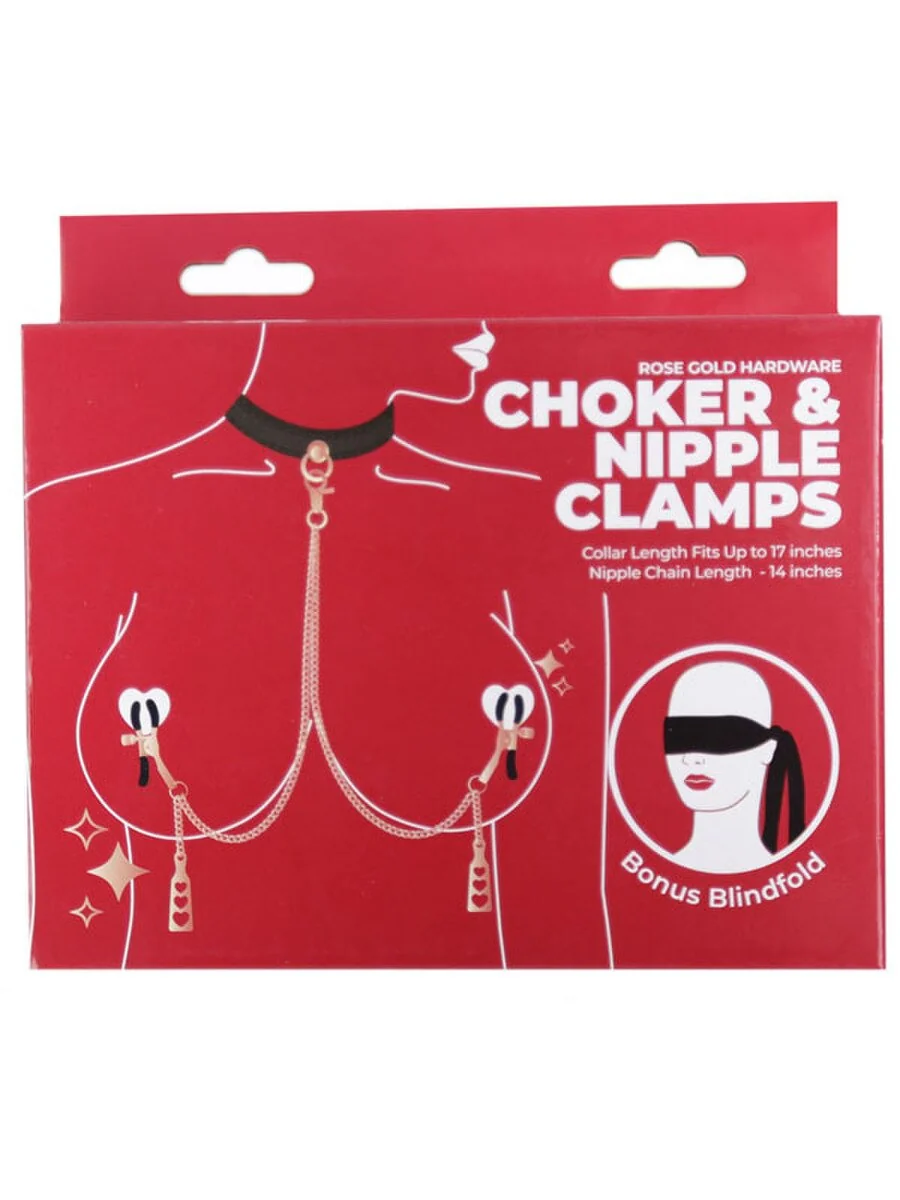 Punishment Rose Gold Choker and Nipple Clamps - Image 2