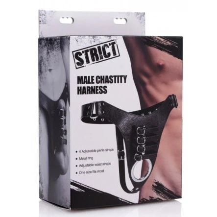 Strict Male Chastity Harness