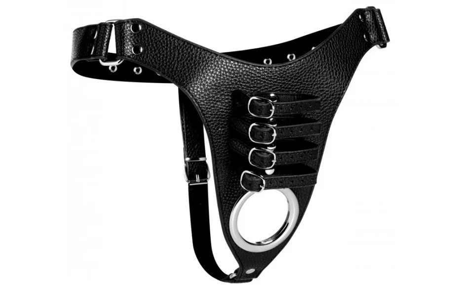 Strict Male Chastity Harness - Image 2